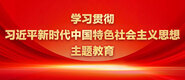 日B最爽哪里看学习贯彻习近平新时代中国特色社会主义思想主题教育_fororder_ad-371X160(2)